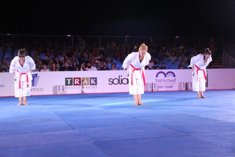 Martial Arts Festival
